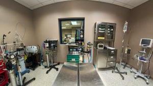 易胜博 Veterinary Technician Lab